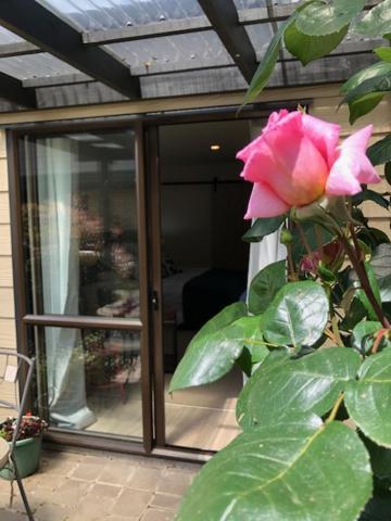 Cedar Park Bed & Breakfast Tamahere ภายนอก รูปภาพ